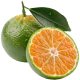 Calamansi_ExoticKing