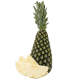 Divlji ananas by air 1 kom_ExoticKing