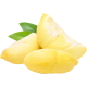 Durian oguljeni plod_ExoticKing