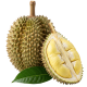 Durian_ExoticKing