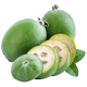 Feijoa_Exotic King