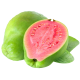 Guava_ExoticKing