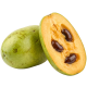 Indijanska banana_ExoticKing