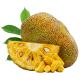 Jackfruit_ExoticKing