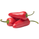 Jalapeño crveni_ExoticKing