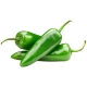 Jalapeño zeleni_ExoticKing