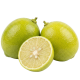 Limequat_ExoticKing