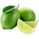 Limeta_ExoticKing