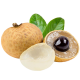 Longan_ExoticKing