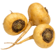 Maca Korijen_ExoticKing