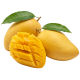 Mango Nam Dok Mai_ExoticKing
