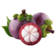 Mangosteen_ExoticKing