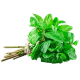 Menta svježa_ExoticKing