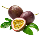Passion fruit_ExoticKing