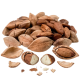 Pili nuts_ExoticKing