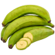 Plantain banana_ExoticKing