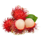Rambutan_ExoticKing