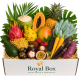 Royal Box_ExoticKing