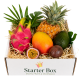 Starter Box_ExoticKing